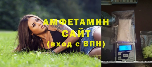 шишки Беломорск