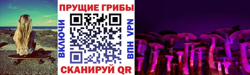 Галлюциногенные грибы Magic Shrooms где продают Заводоуковск